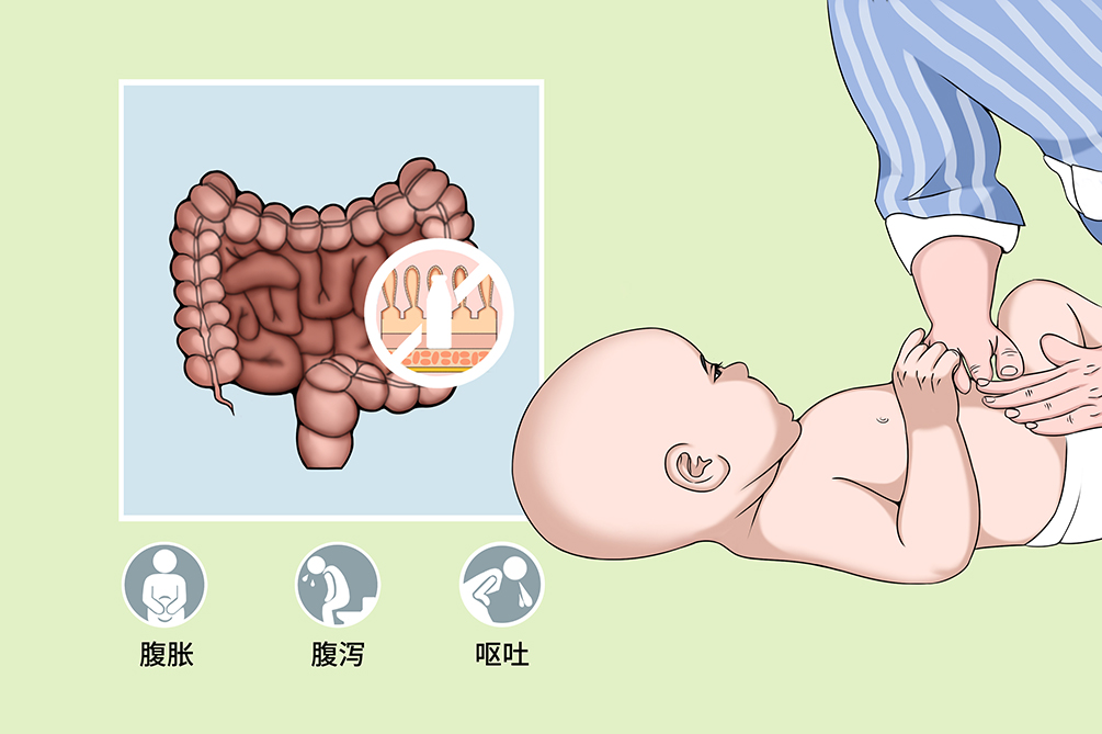 捐卵 合法